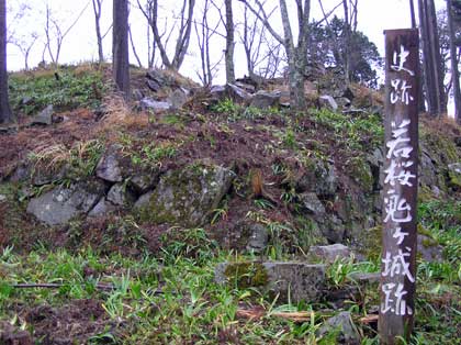 鳥取県の若桜町にある若桜鬼ヶ城跡